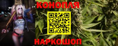 ПСИЛОЦИБИНОВЫЕ ГРИБЫ Краснодар