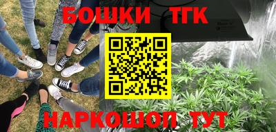 ПСИЛОЦИБИНОВЫЕ ГРИБЫ Краснодар