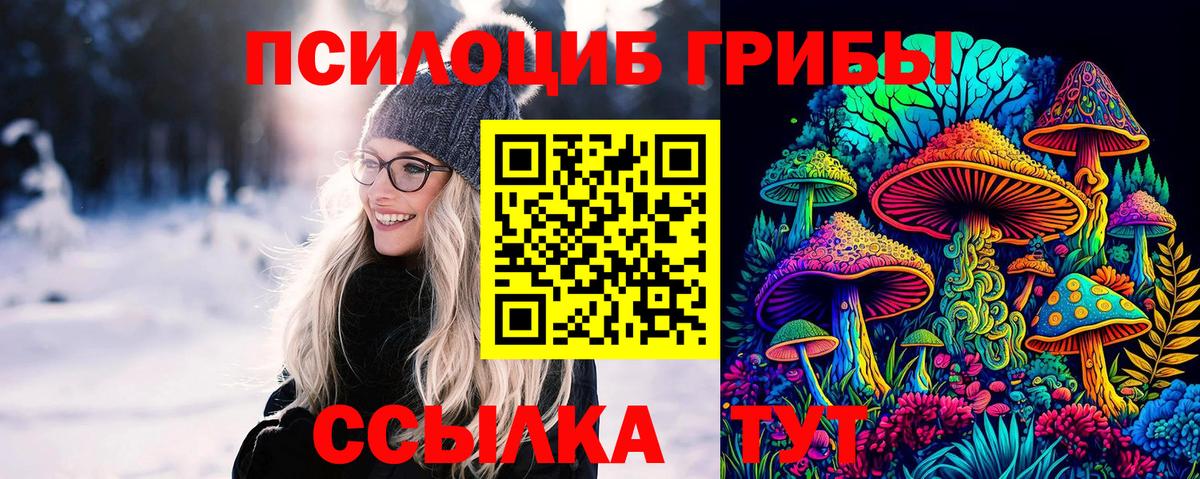 Казань  Псилоцибиновые грибы прущие грибы  Галлюциногенные грибы Cubensis  Вход с VPN 