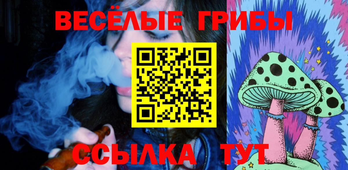 Псилоцибиновые грибы Psilocybine cubensis Казань